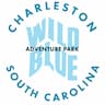 Wild Blue Ropes Adventure Park company logo