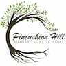 Pincushion Hill Montessori School company logo