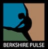 Berkshire Pulse company logo