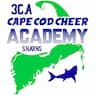 Cape All Stars company logo