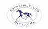 Evenstride, Ltd. company logo