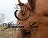 Jordan Lee Performance Horses company logo