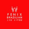 Fenix Brazilian Jiu Jitsu Tewksbury company logo