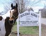 Holiday Acres Equestrian Center company logo