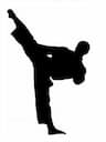 International Tae Kwon DO  company logo