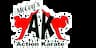 McCoy’s Action Karate company logo