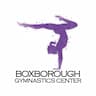 Boxborough Gymnastics Center company logo