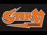 New England Storm Baseball company logo