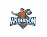 Anderson Baseball Academy LLC Holliston company logo