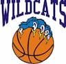 Wilmington Travel Basketball company logo