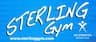 Sterling Academy Of Gymnastics company logo