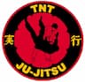 Atemi Ryu Ju Jitsu Chendokan Aikido company logo