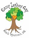 Camp Lakey Gap company logo