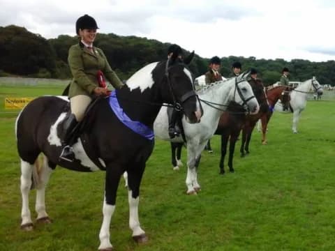 a group of people riding horses
