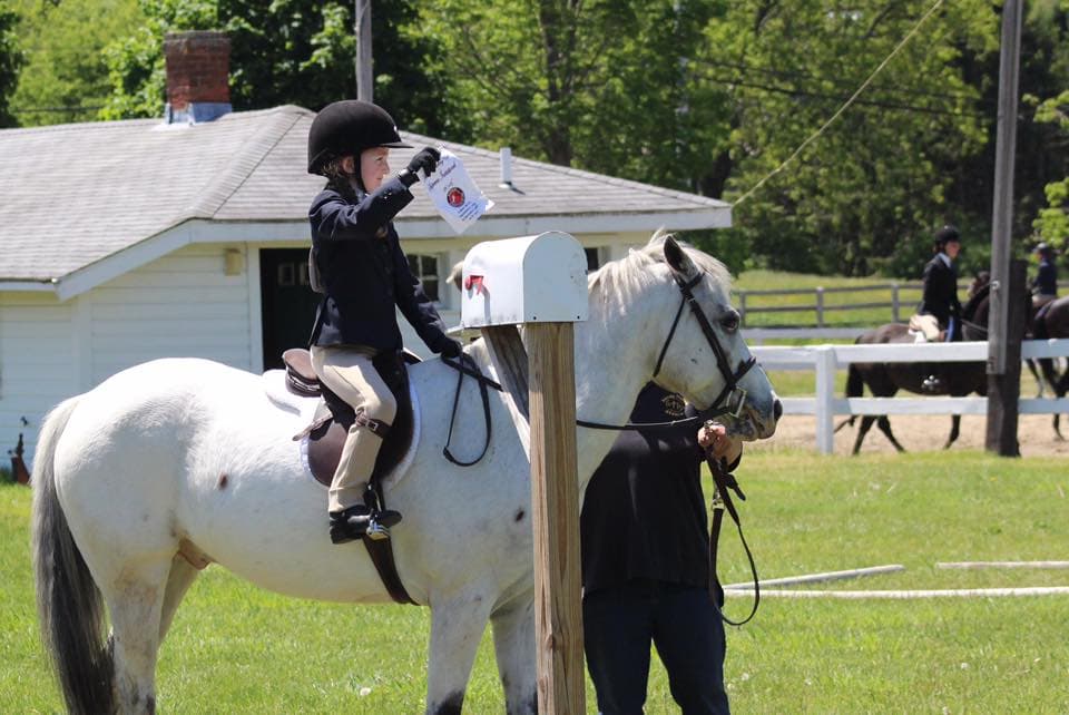 a person riding a horse