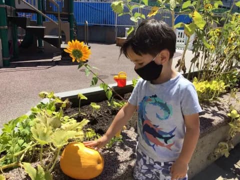 a young girl picking a pumpkin