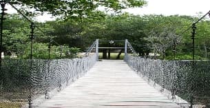 a bridge over a river