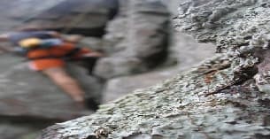 a close-up of a person's feet