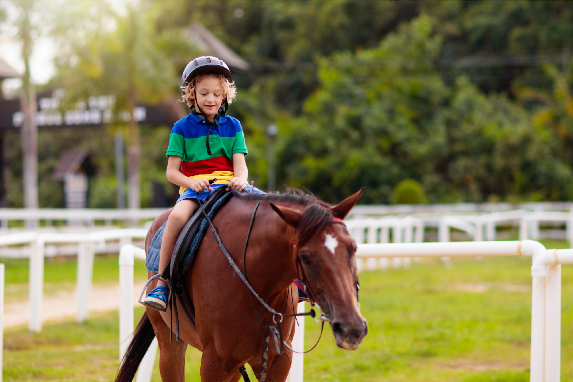 a girl riding a horse