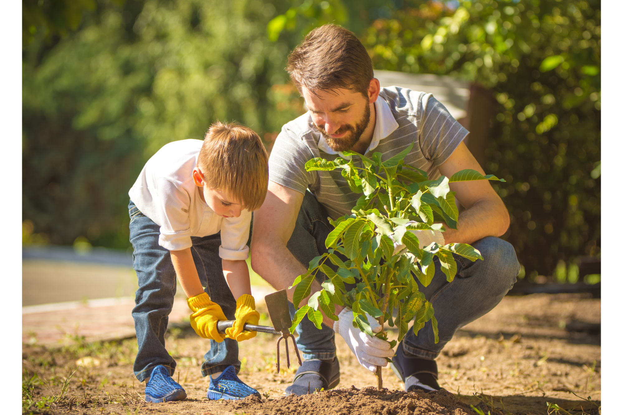 a man and a boy planting a tree