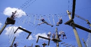 people on a roller coaster