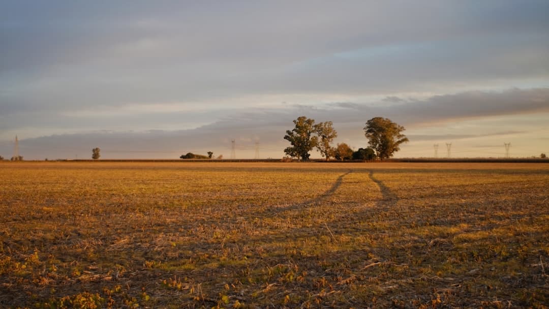 view of grass field