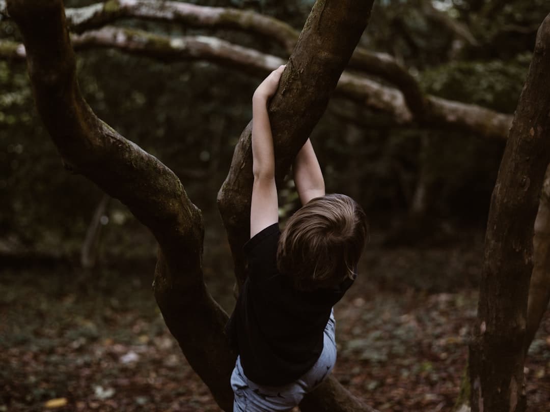 toddler hanging on tree