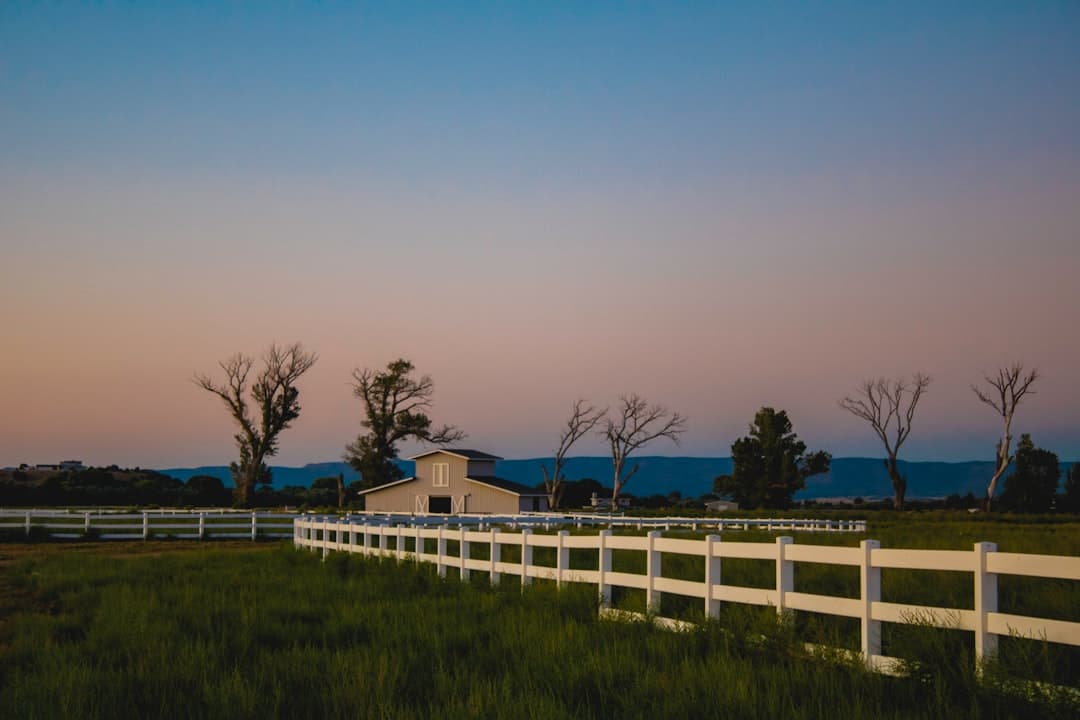 white fence in barn