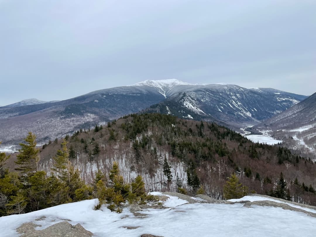 green trees on snow covered mountain during daytime