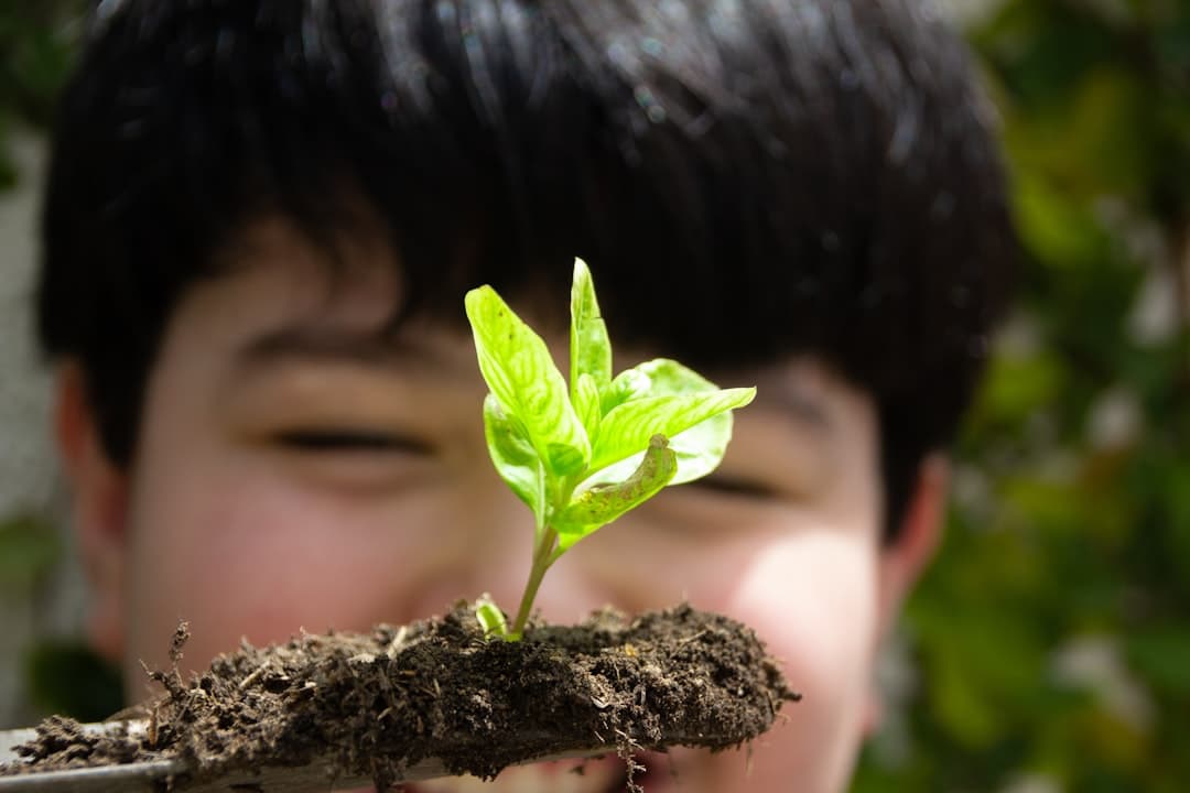 green leaf on persons face