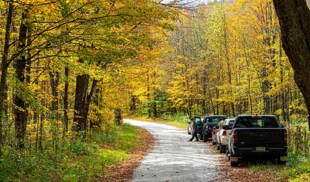 a group of cars parked on the side of a road