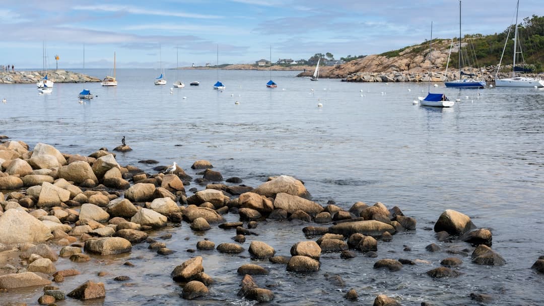 a body of water filled with lots of rocks