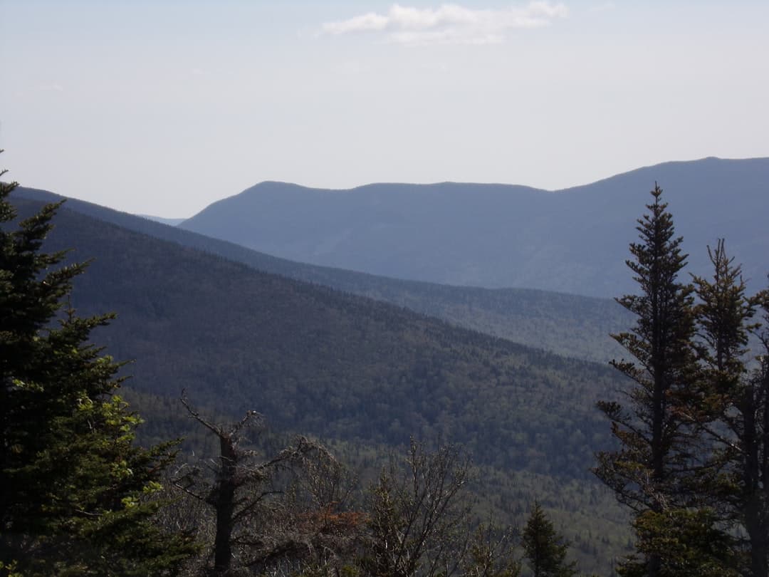 a view of a mountain range with trees in the foreground