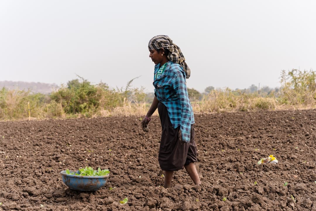 a woman in a field with a bowl of lettuce