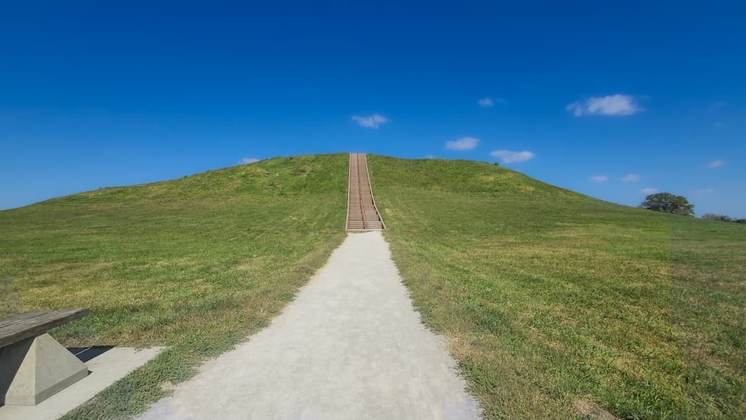 a bench sitting on top of a grass covered hill