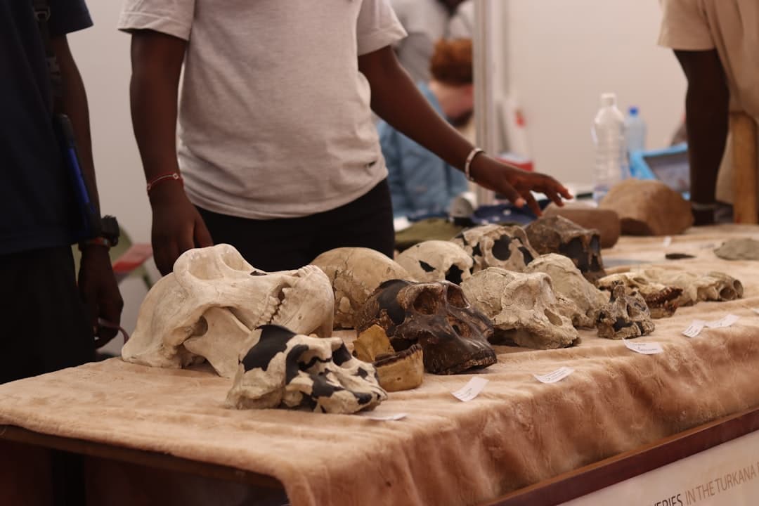 a group of people standing around a table with skulls on it