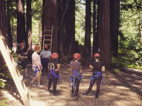 a group of people in a forest