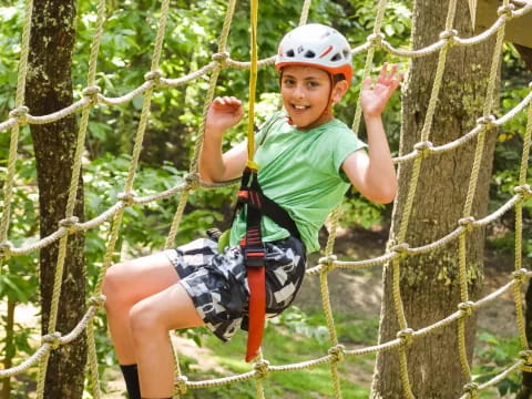 a boy climbing a tree
