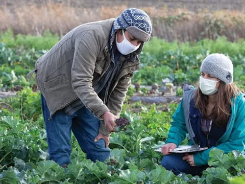 a man and a woman in a field