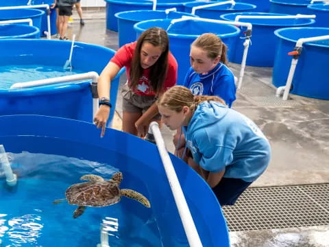 a group of people in a pool