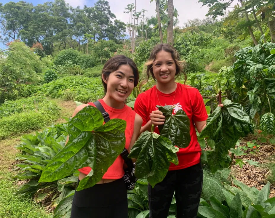 a couple of women holding plants