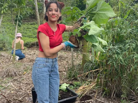 a person standing in a garden