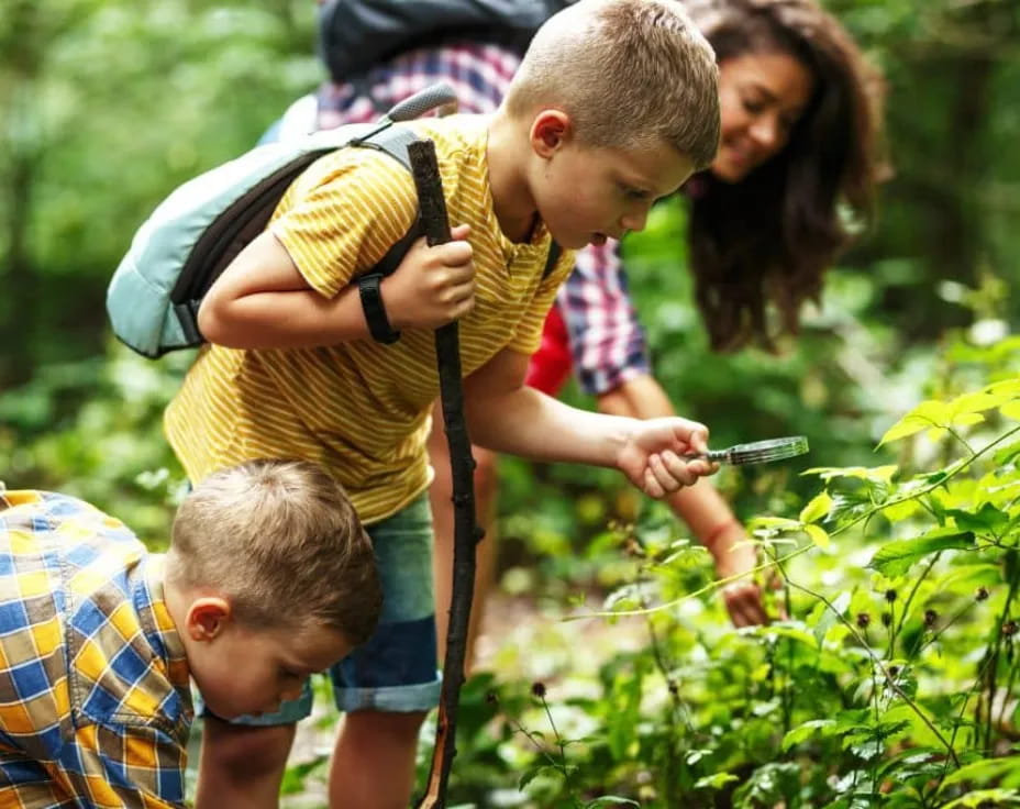 a group of people looking at plants