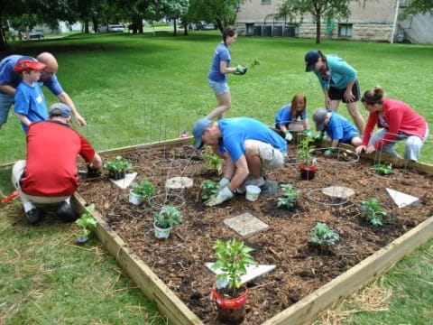 a group of people planting plants