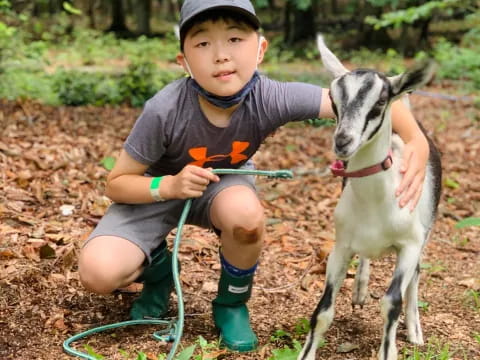 a boy sitting next to two goats