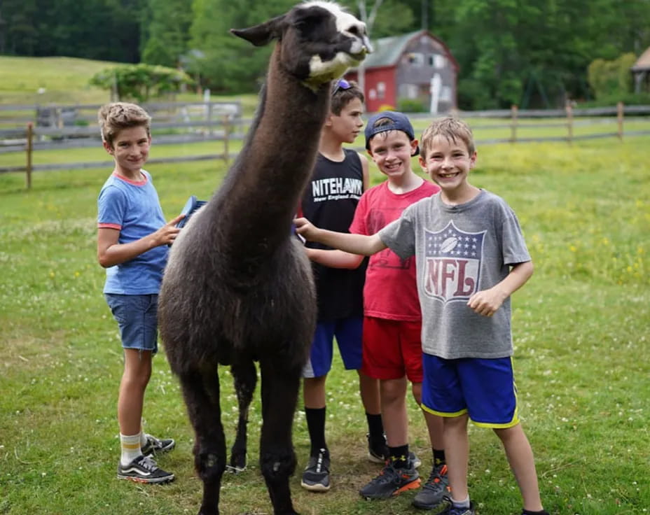 a group of kids posing with a llama