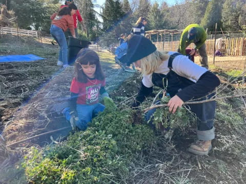 a group of people working in a garden