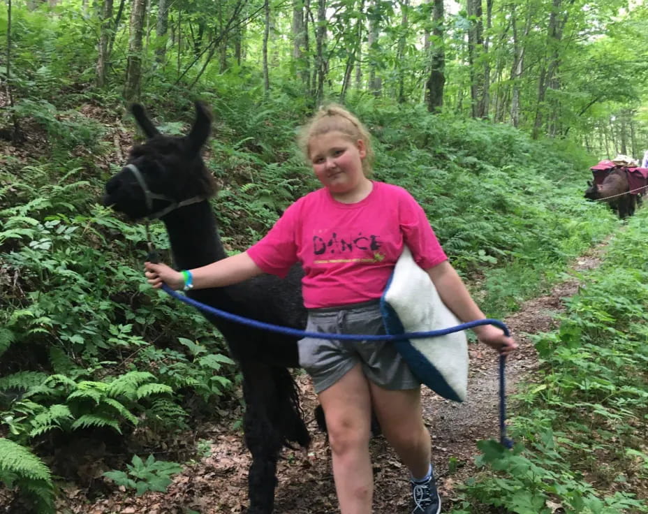 a person riding a horse