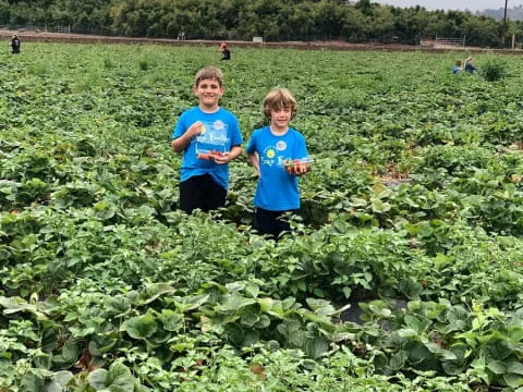 two children in a field