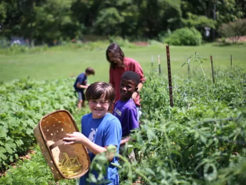 a group of kids in a garden